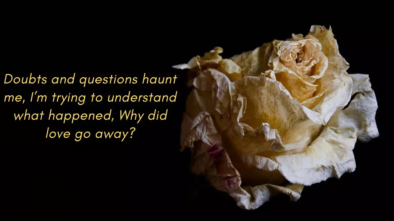 Short sad love Poem about separation: “Faded Rose🥀”