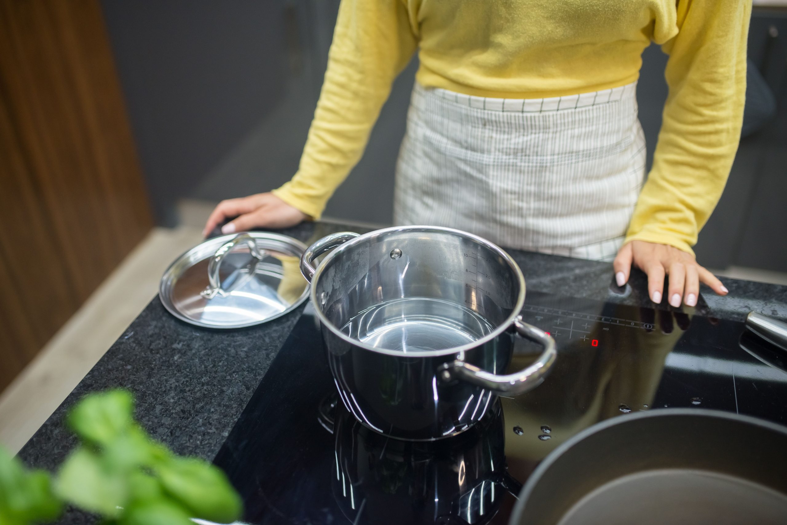 Comparatif complet plaques de cuisson