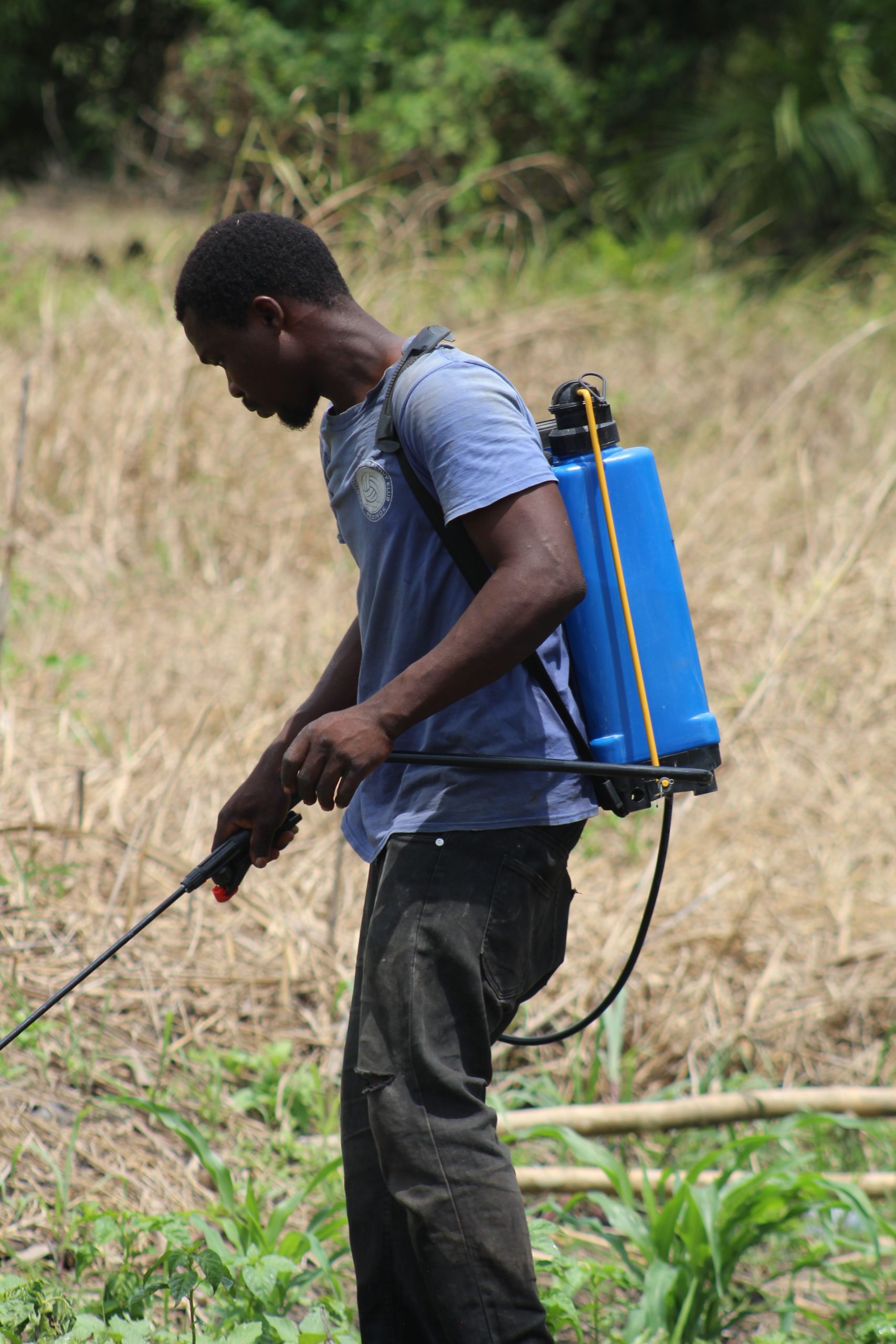 A farmer in Ghana using a backpack sprayer to treat crops in a dry field. Un fermier au Ghana utilisant un pulvérisateur dorsal pour traiter les cultures dans un champ sec.